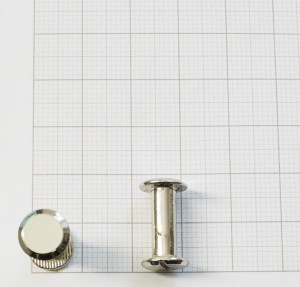 Кобурной винт 11х14 мм. Никель